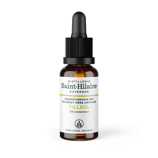 Macérat de tilleul bio - 1